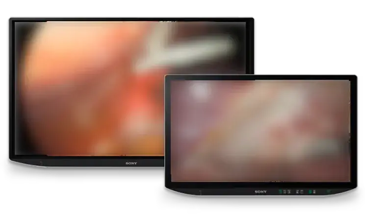 Sony Monitore LMD-XH550MT & LMD-XH320MT